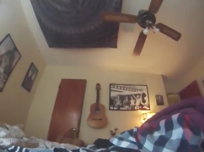 perro-triste-gopro (1)
