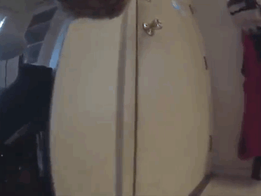 perro-triste-gopro (2)