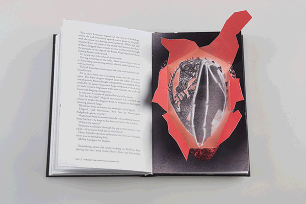 portada-luminosa-libros-harry-potter-kincso-nagy (4)