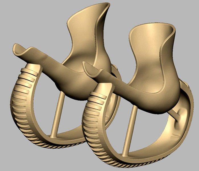 protesis-3d-perro-deforme-derby (2)