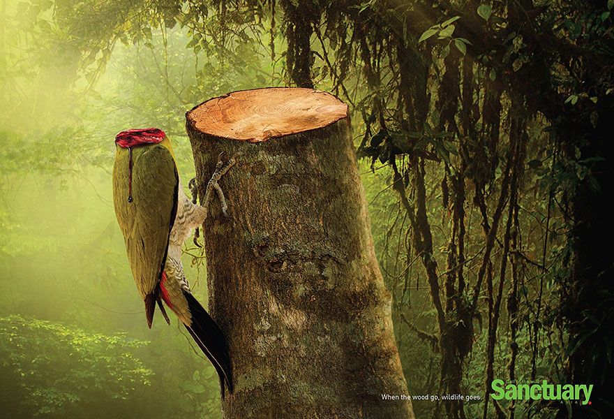 publicidad-contra-deforestacion-sanctuary-asia (1)