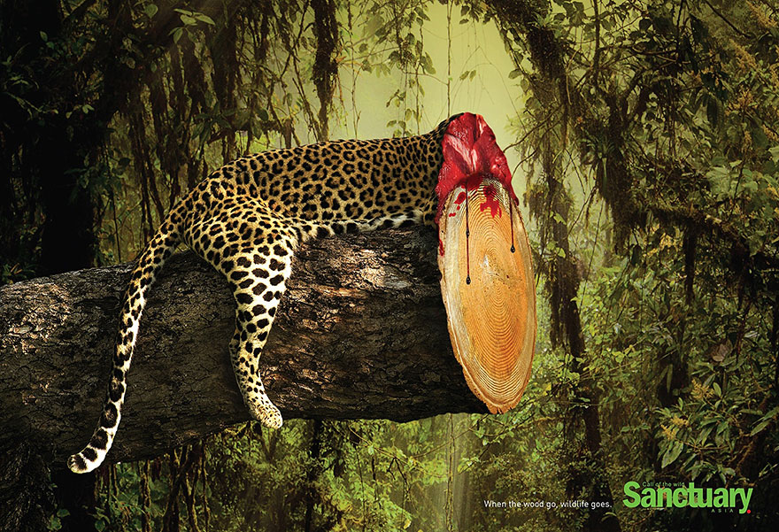 publicidad-contra-deforestacion-sanctuary-asia (2)