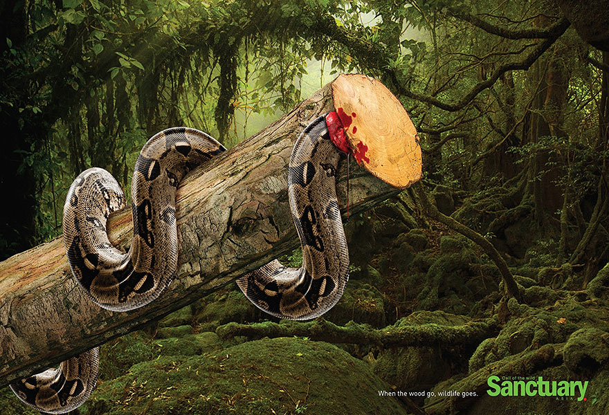 publicidad-contra-deforestacion-sanctuary-asia (3)