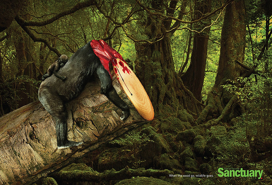 publicidad-contra-deforestacion-sanctuary-asia (4)