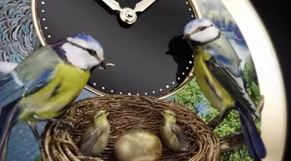 regalos-amantes-pajaros- (1)