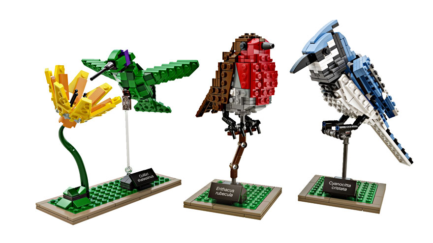 regalos-amantes-pajaros- (14)