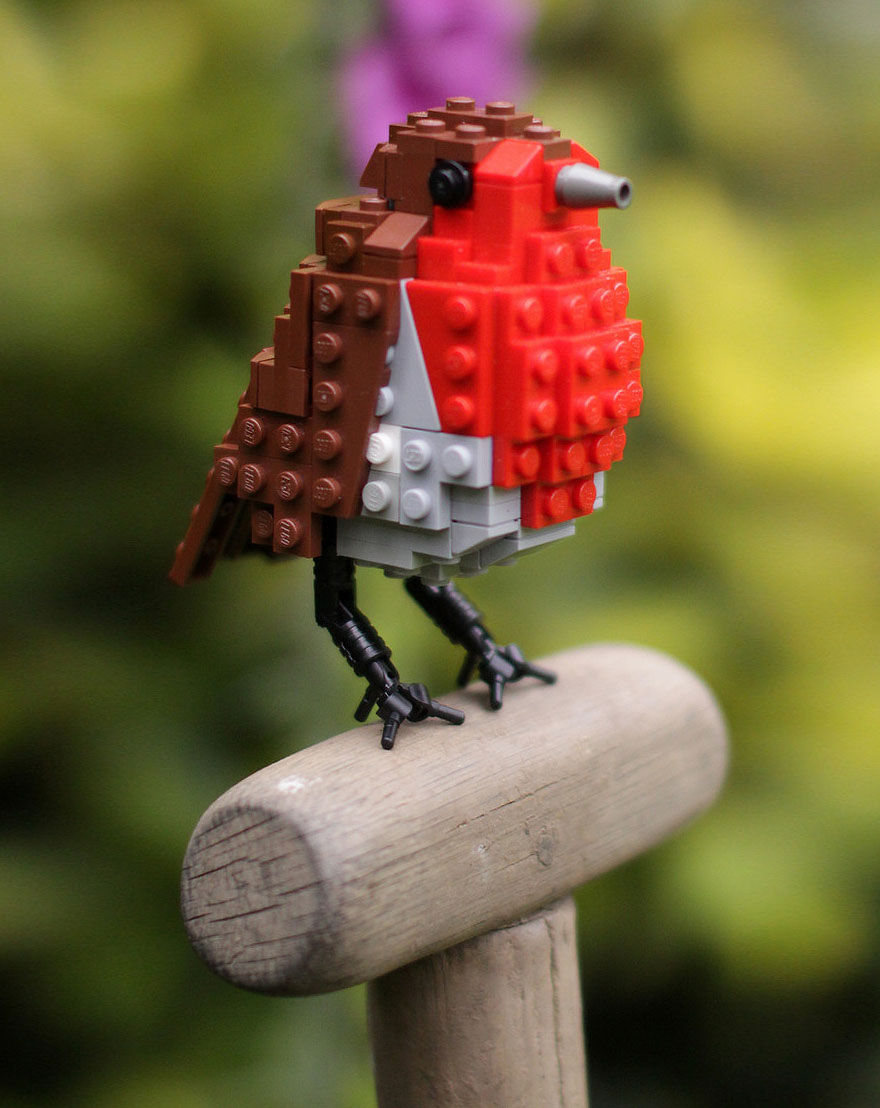 regalos-amantes-pajaros- (22)