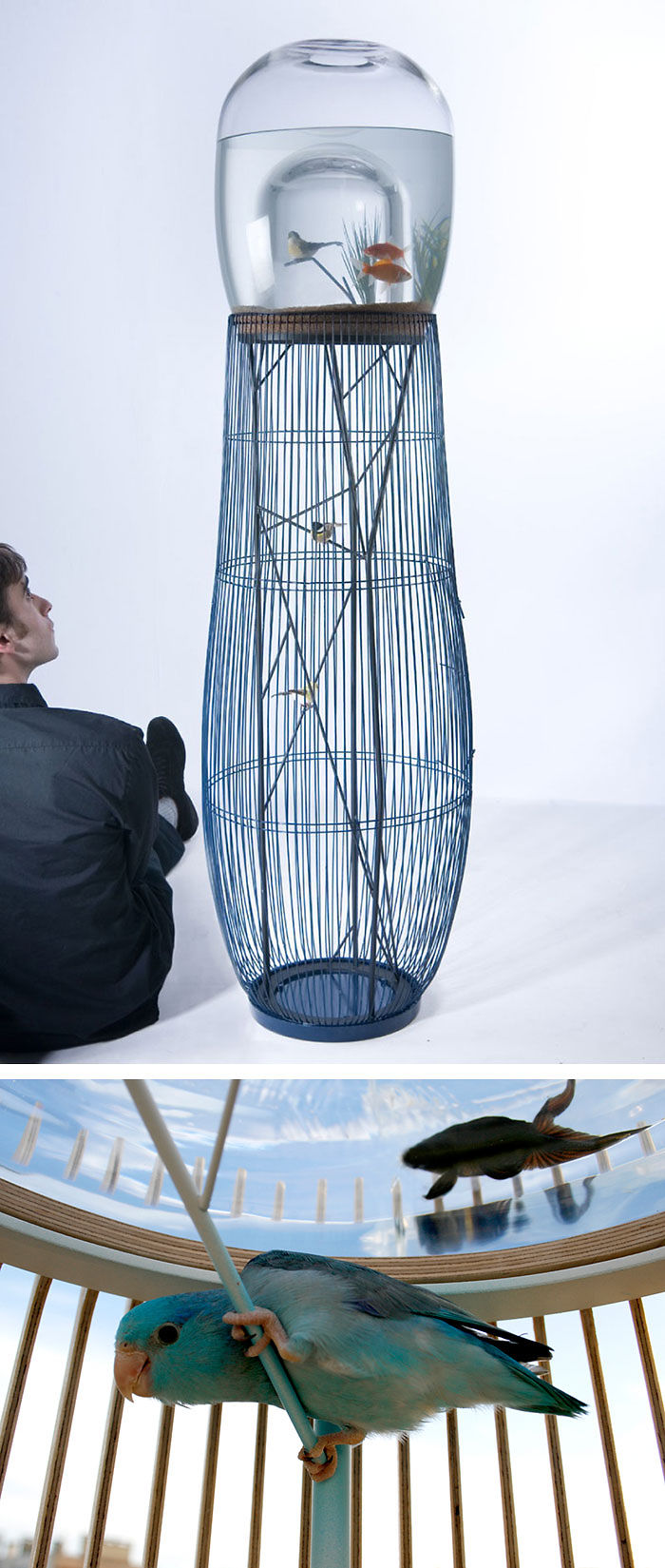regalos-amantes-pajaros- (9)
