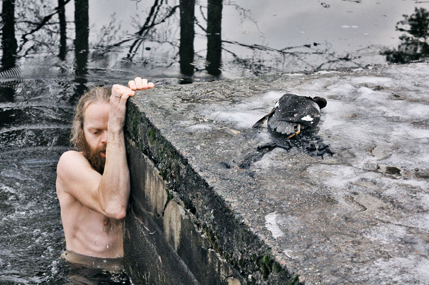 rescate-pato-lago-helado-lars-noruega- (2)