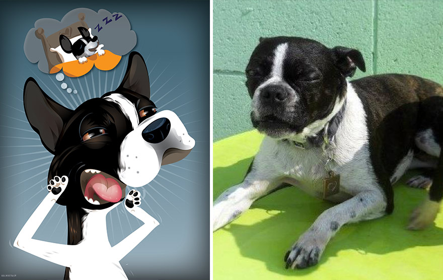 retratos-mascotas-dibujos- (27)