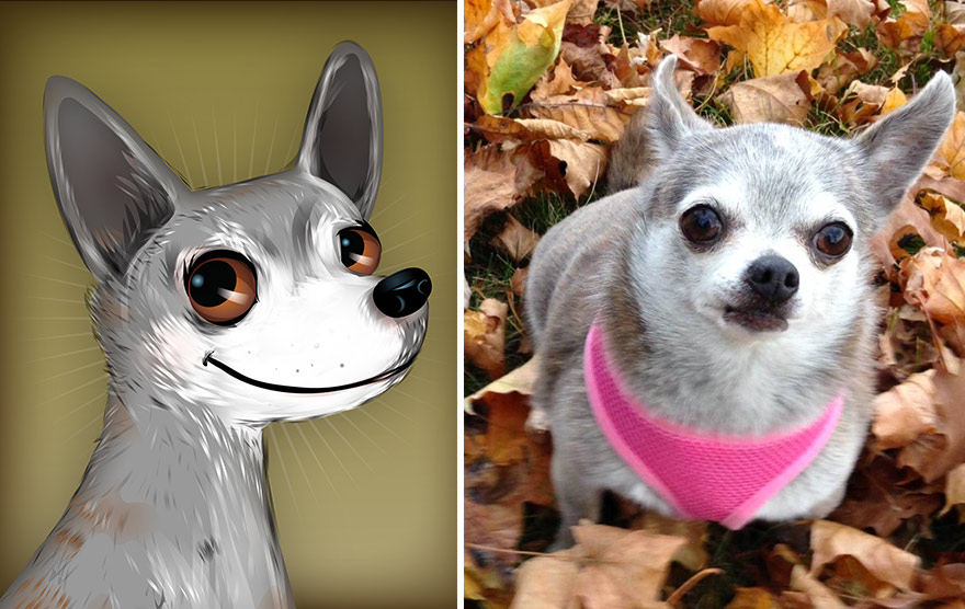 retratos-mascotas-dibujos- (32)