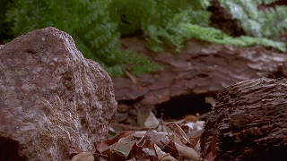 setas-creciendo-gifs-secuenciales (4)
