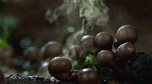 setas-creciendo-gifs-secuenciales (8)