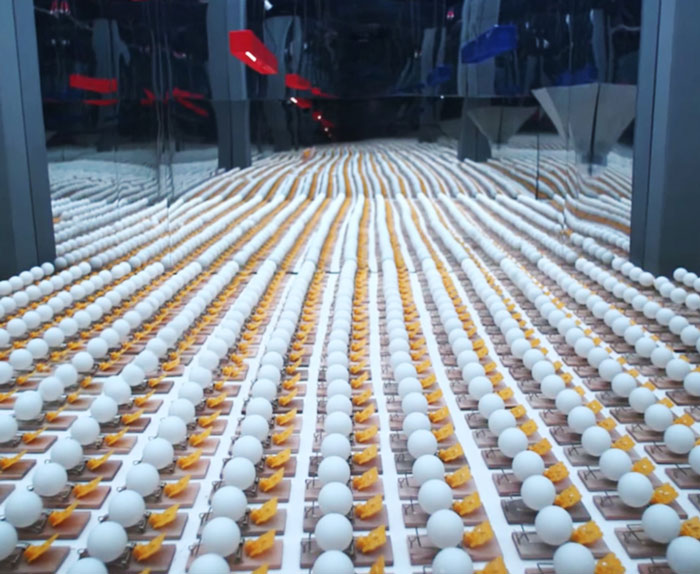 1650 Trampas para ratones activan una masiva reacción en cadena con bolas de ping pong