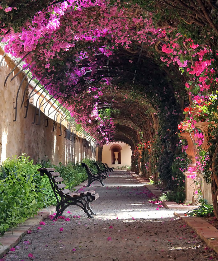 calles-arboles-flores (11)