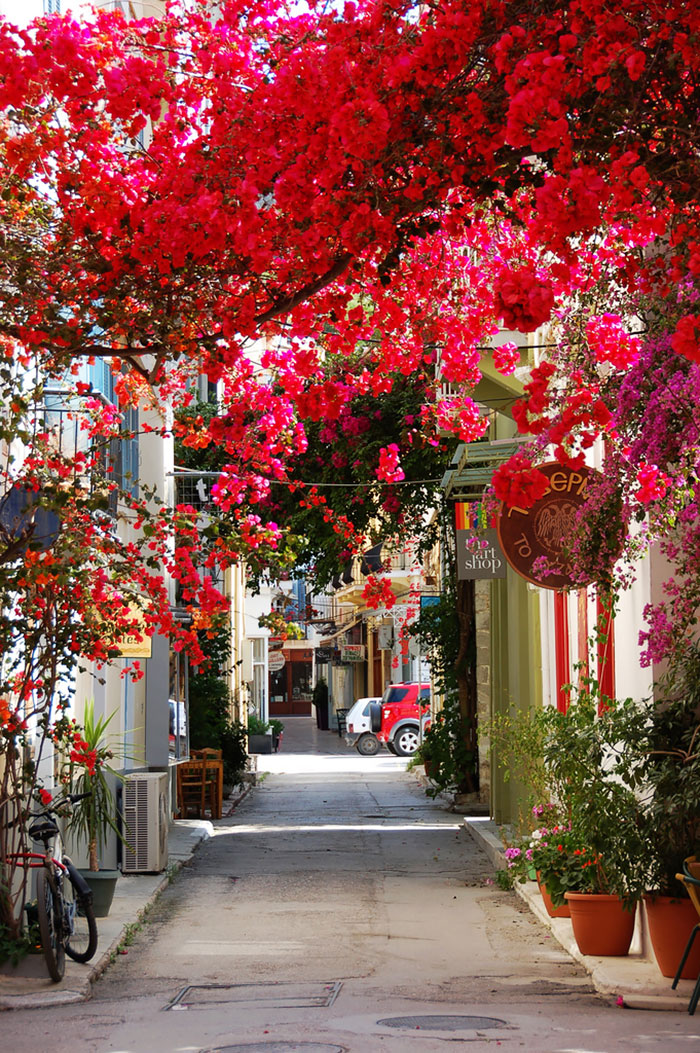 calles-arboles-flores (13)
