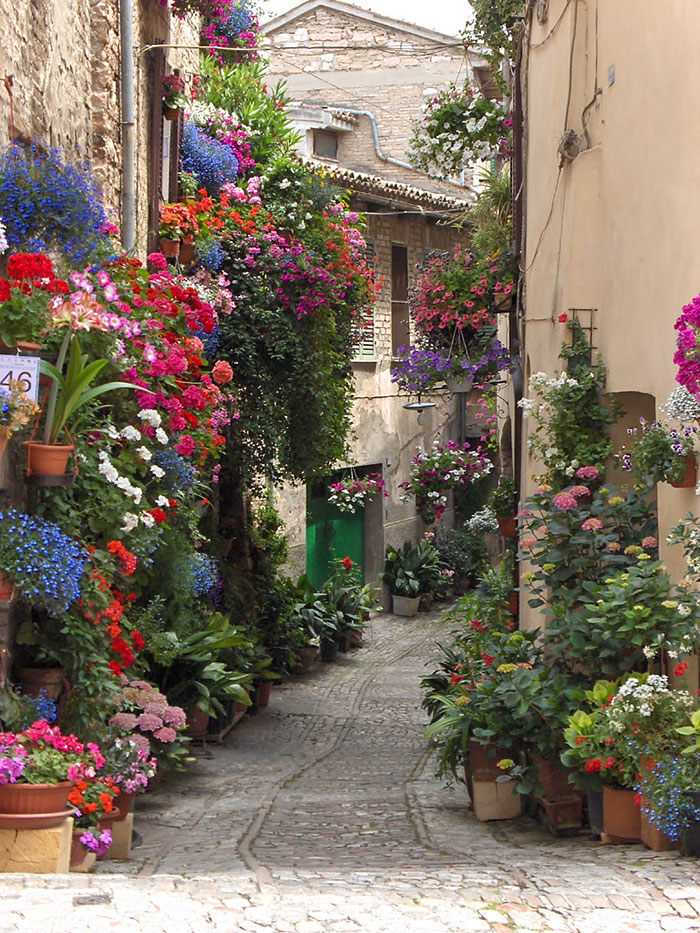 calles-arboles-flores (14)