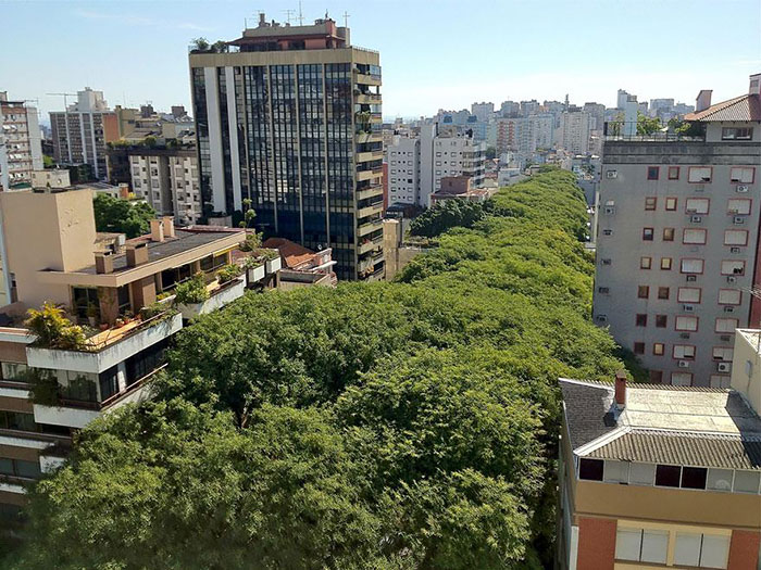 calles-arboles-flores (5)