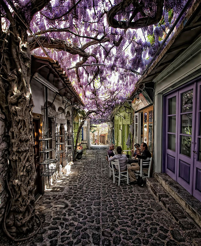 15 Calles mágicas cubiertas de flores y árboles