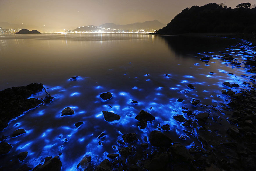 chispa-mar-bioluminiscente-hong-kong (1)