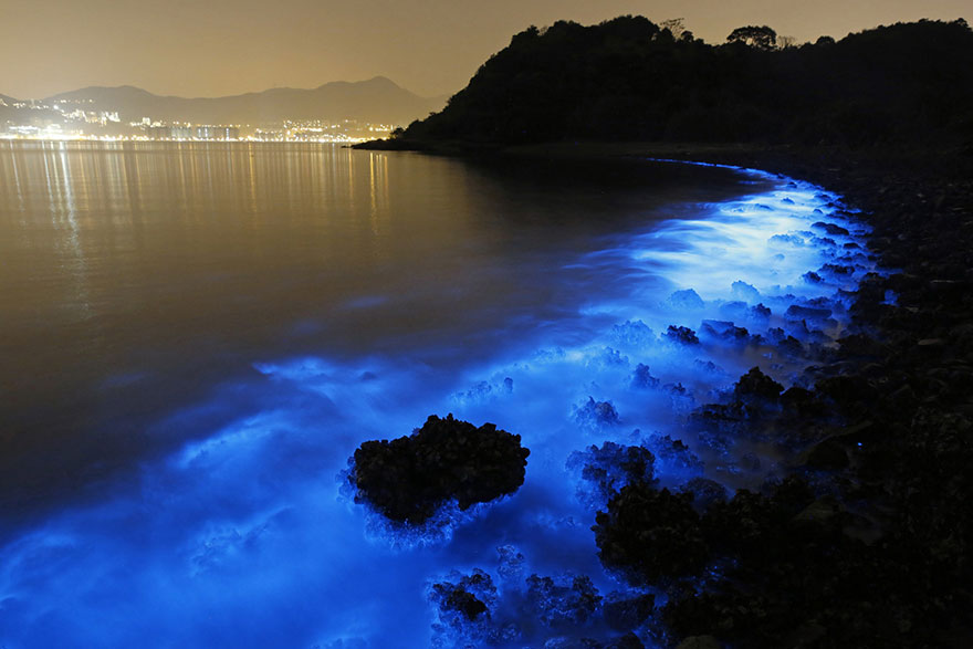 chispa-mar-bioluminiscente-hong-kong (3)