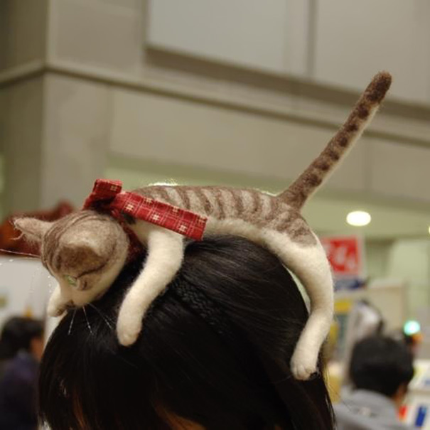 didadema-gato-campanella (1)