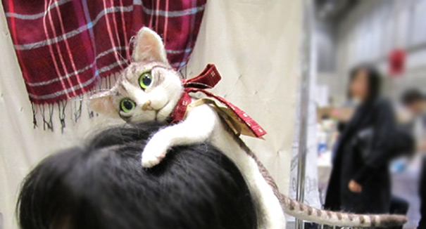didadema-gato-campanella (2)