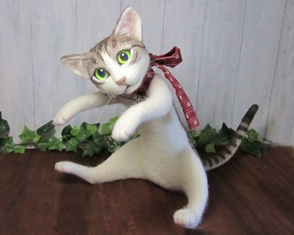 didadema-gato-campanella (3)