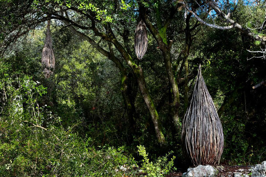 esculturas-naturales-bosque-spencer-byles (15)