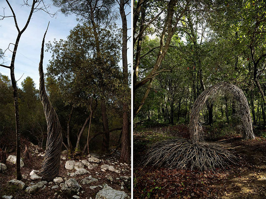 esculturas-naturales-bosque-spencer-byles (3)