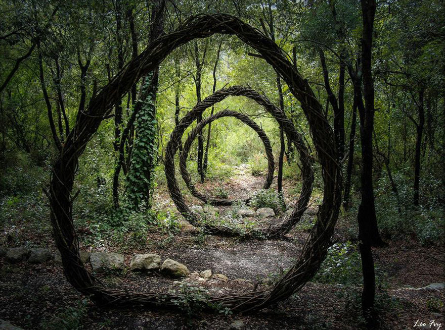 esculturas-naturales-bosque-spencer-byles (8)