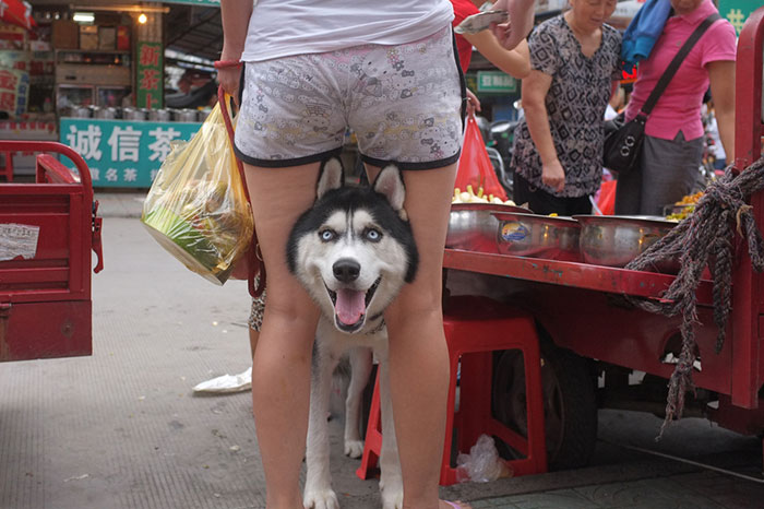 Este fotógrafo callejero autodidacta ha invadido China con sus fotos en el momento justo