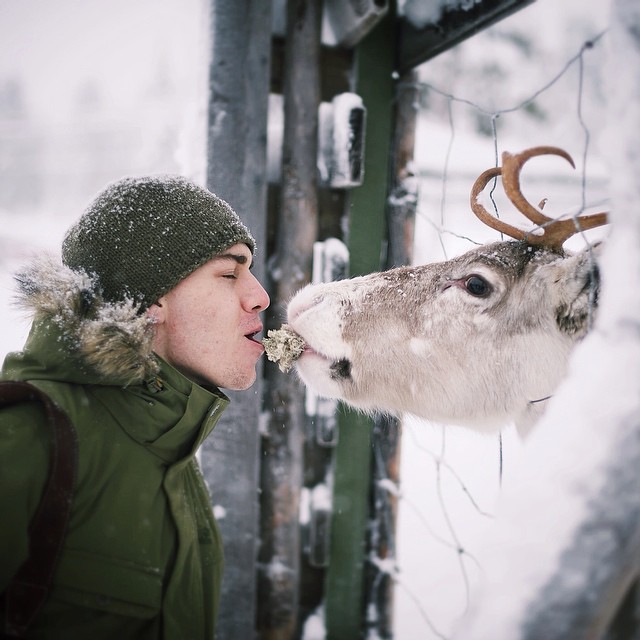 fotos-alimentando-animales-salvajes-finlandia-konsta-punkka (15)
