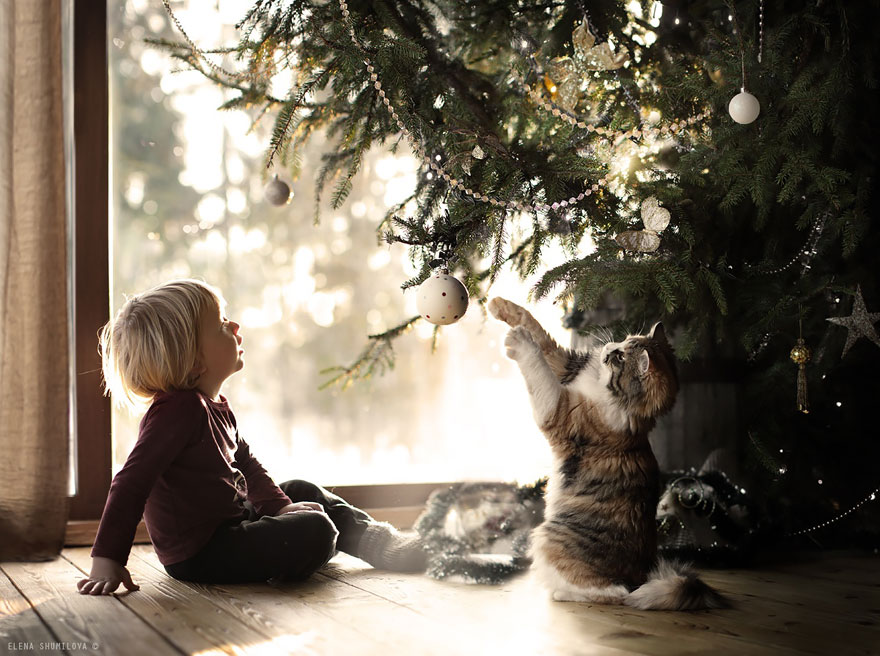 fotos-animales-ninos-elena-shumilova (10)