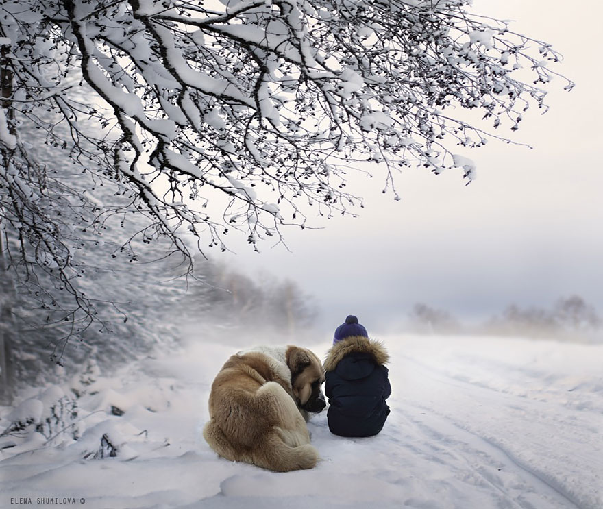 fotos-animales-ninos-elena-shumilova (11)