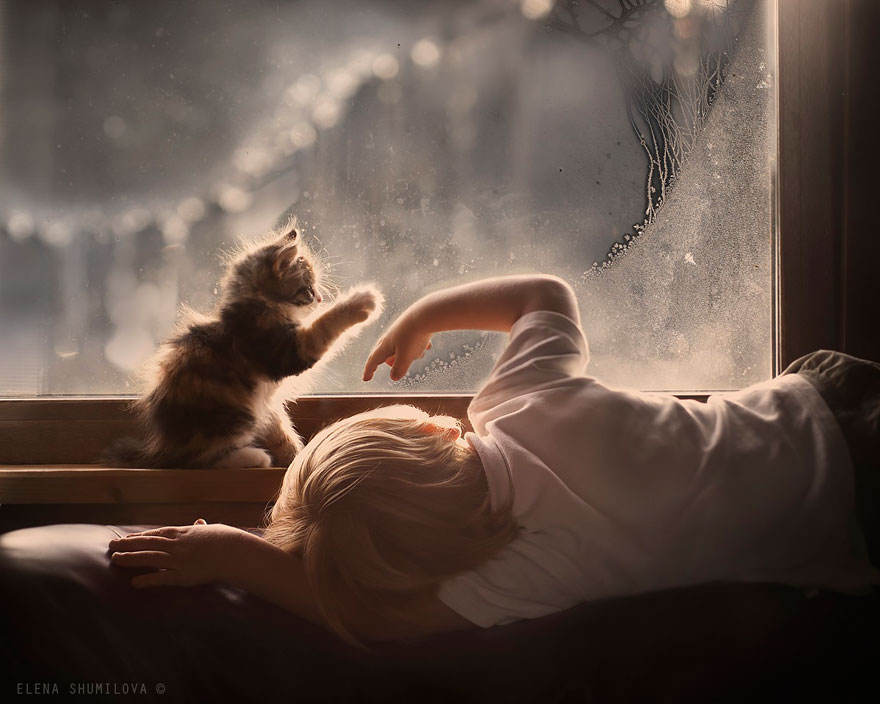 fotos-animales-ninos-elena-shumilova (25)
