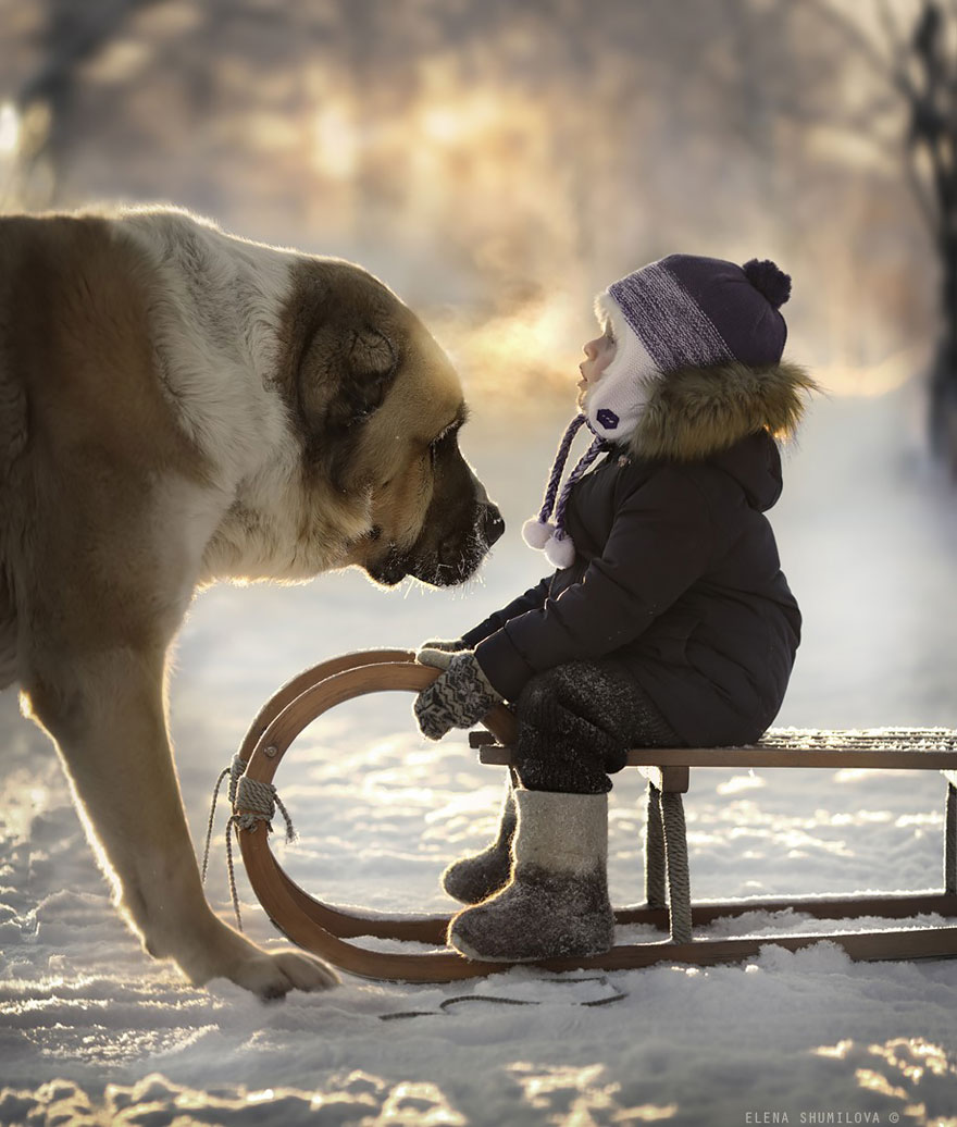 fotos-animales-ninos-elena-shumilova (35)