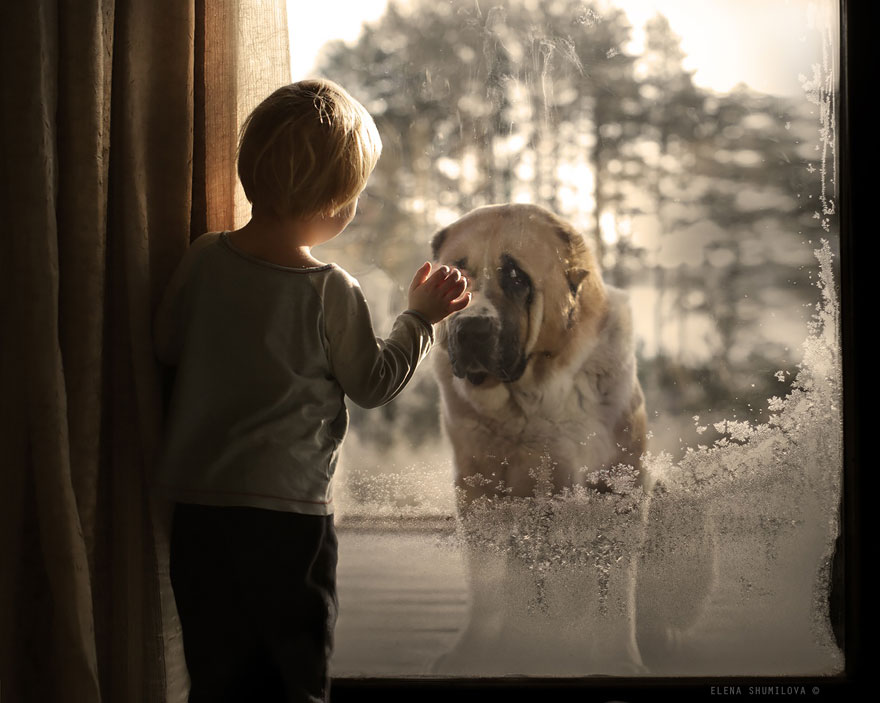 fotos-animales-ninos-elena-shumilova (7)