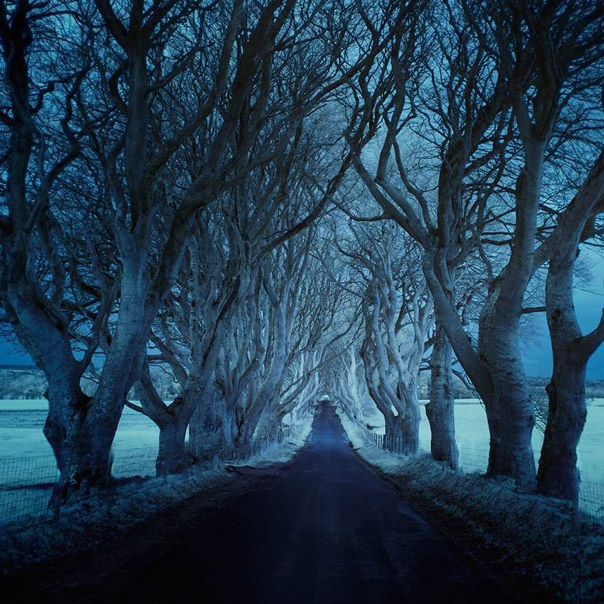 fotos-paisajes-carreteras-andy-lee (12)