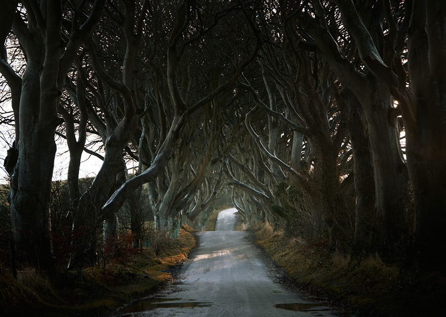 fotos-paisajes-carreteras-andy-lee (7)