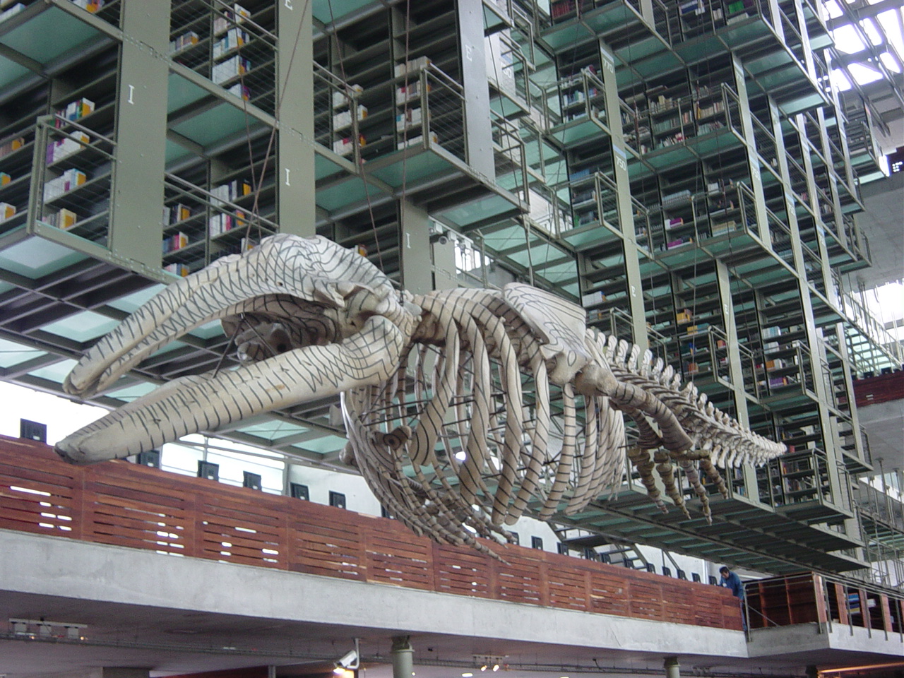 increibles-bibliotecas-mundo (29)