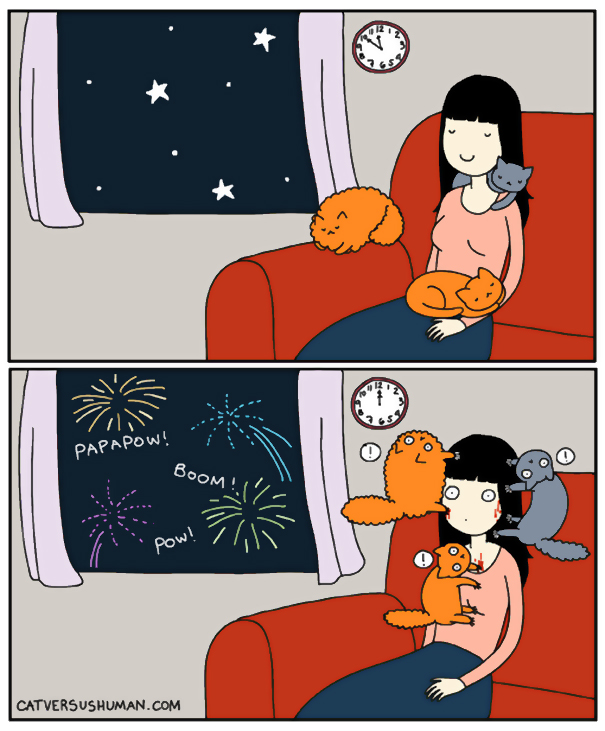 logica-gatos (27)