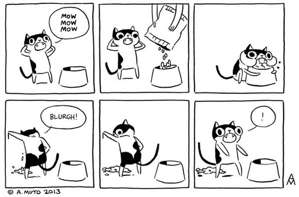 logica-gatos (28)