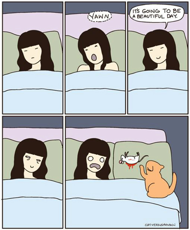 logica-gatos (29)