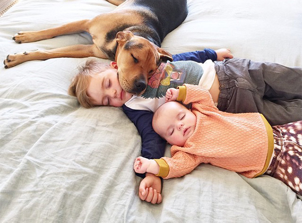 nino-bebe-cachorro-siesta-fotos-jessica-shyba (1)