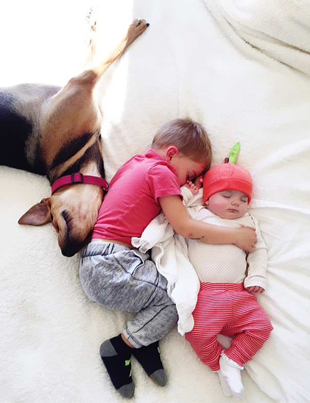 nino-bebe-cachorro-siesta-fotos-jessica-shyba (10)