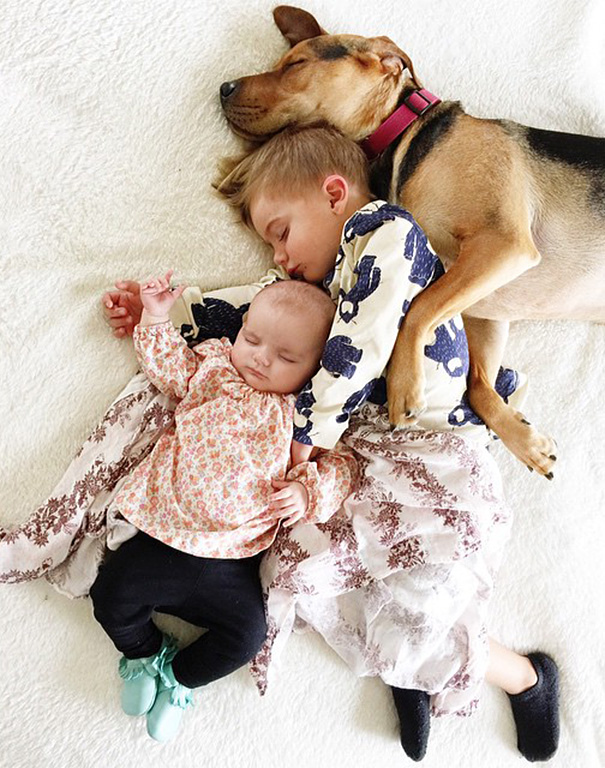 nino-bebe-cachorro-siesta-fotos-jessica-shyba (11)