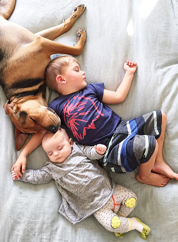 nino-bebe-cachorro-siesta-fotos-jessica-shyba (2)