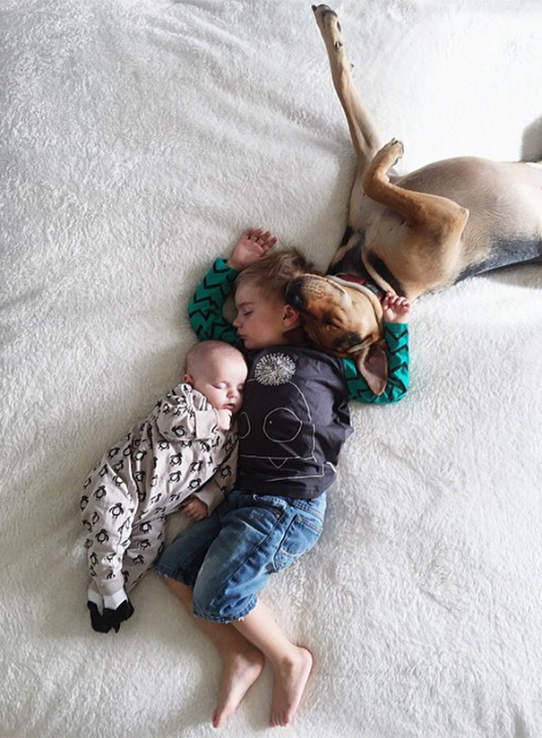 nino-bebe-cachorro-siesta-fotos-jessica-shyba (3)