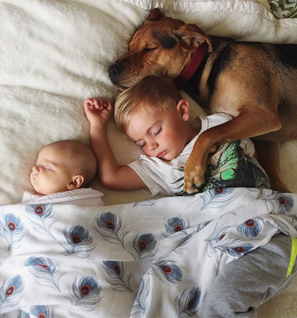 nino-bebe-cachorro-siesta-fotos-jessica-shyba (4)